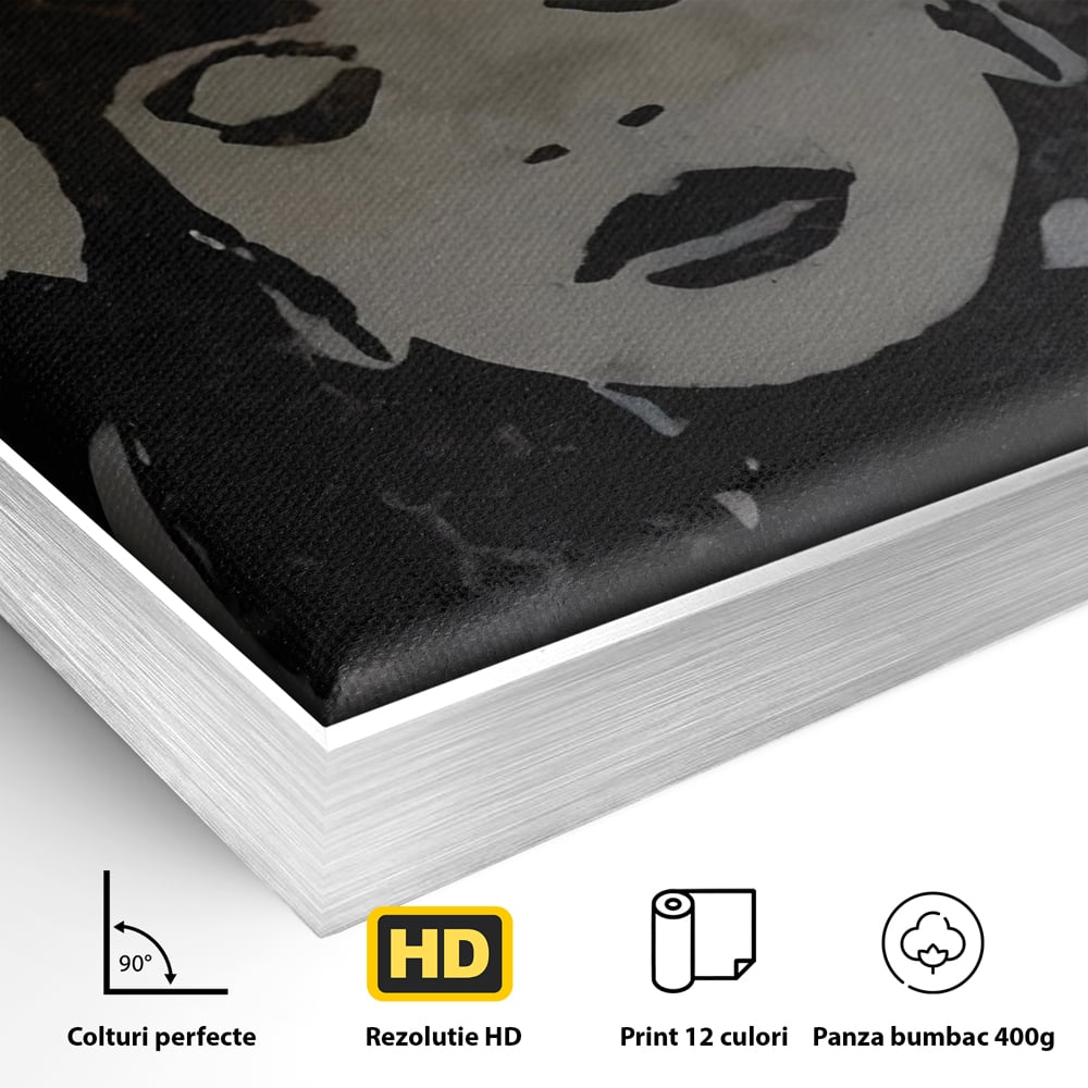Detaliu al suprafetei: tablou canvas cu portretul unei regine, in rama de aluminiu argintiu